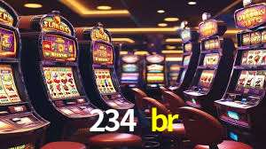 234br.com