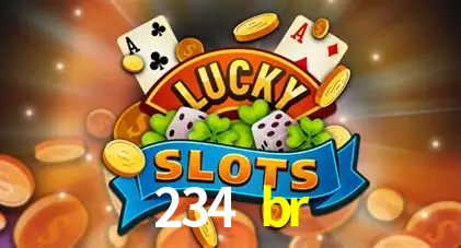 234br.com
