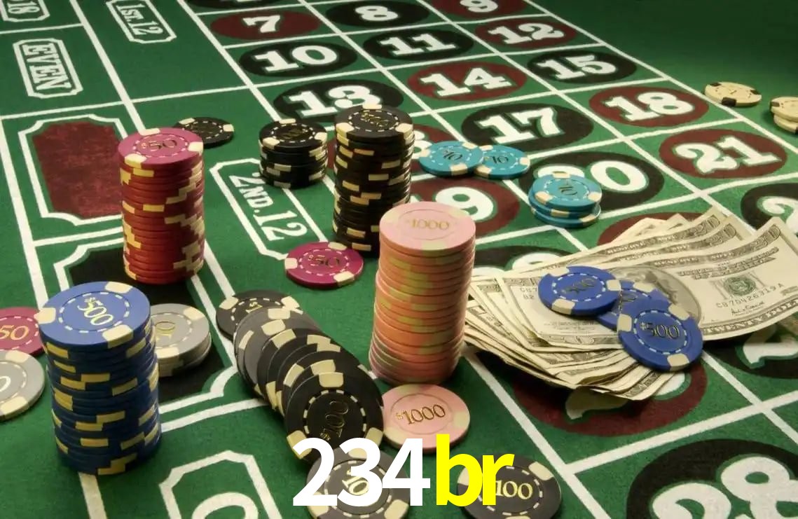 234br App Interface