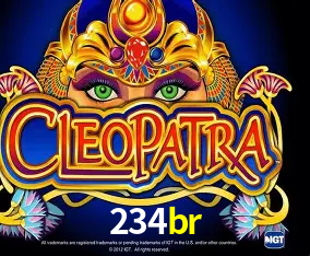 234br Curitiba - Live Status